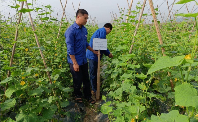 Thanh niên Tuyên Quang khởi nghiệp từ nhà nông “sạch” nhằm bảo vệ môi trường, ứng phó với biến đổi khí hậu