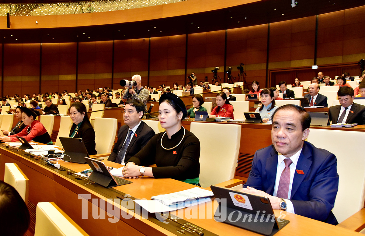 Đoàn Đại biểu Quốc hội tỉnh Tuyên Quang dự Kỳ họp thứ 3, Quốc hội khóa XV