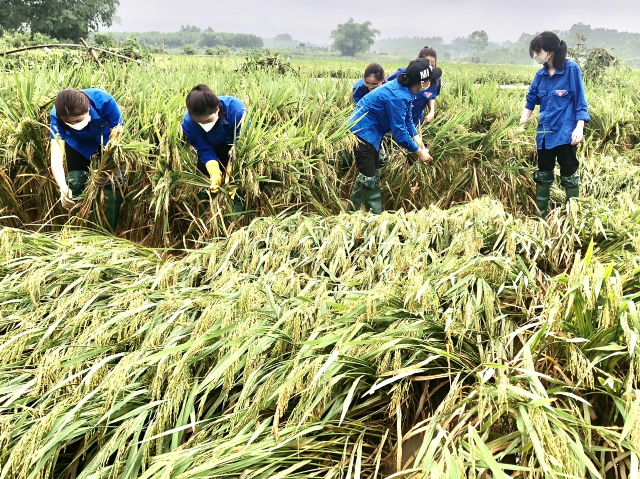 Tuổi trẻ Tuyên Quang chung tay hỗ trợ người dân khắc phục hậu quả sau mưa lũ